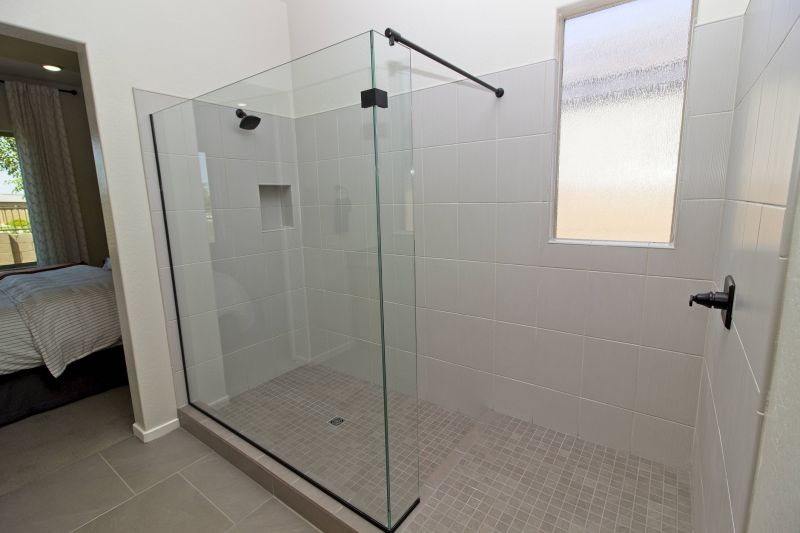 Minimalist Shower Door